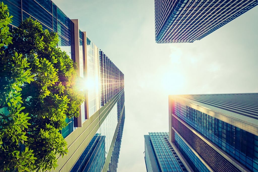 حوكمة الاستدامه