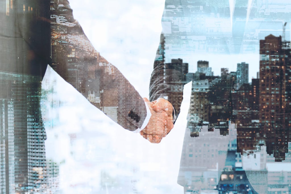 حوكمة الشركة