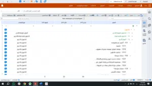 شجرة الحسابات-04