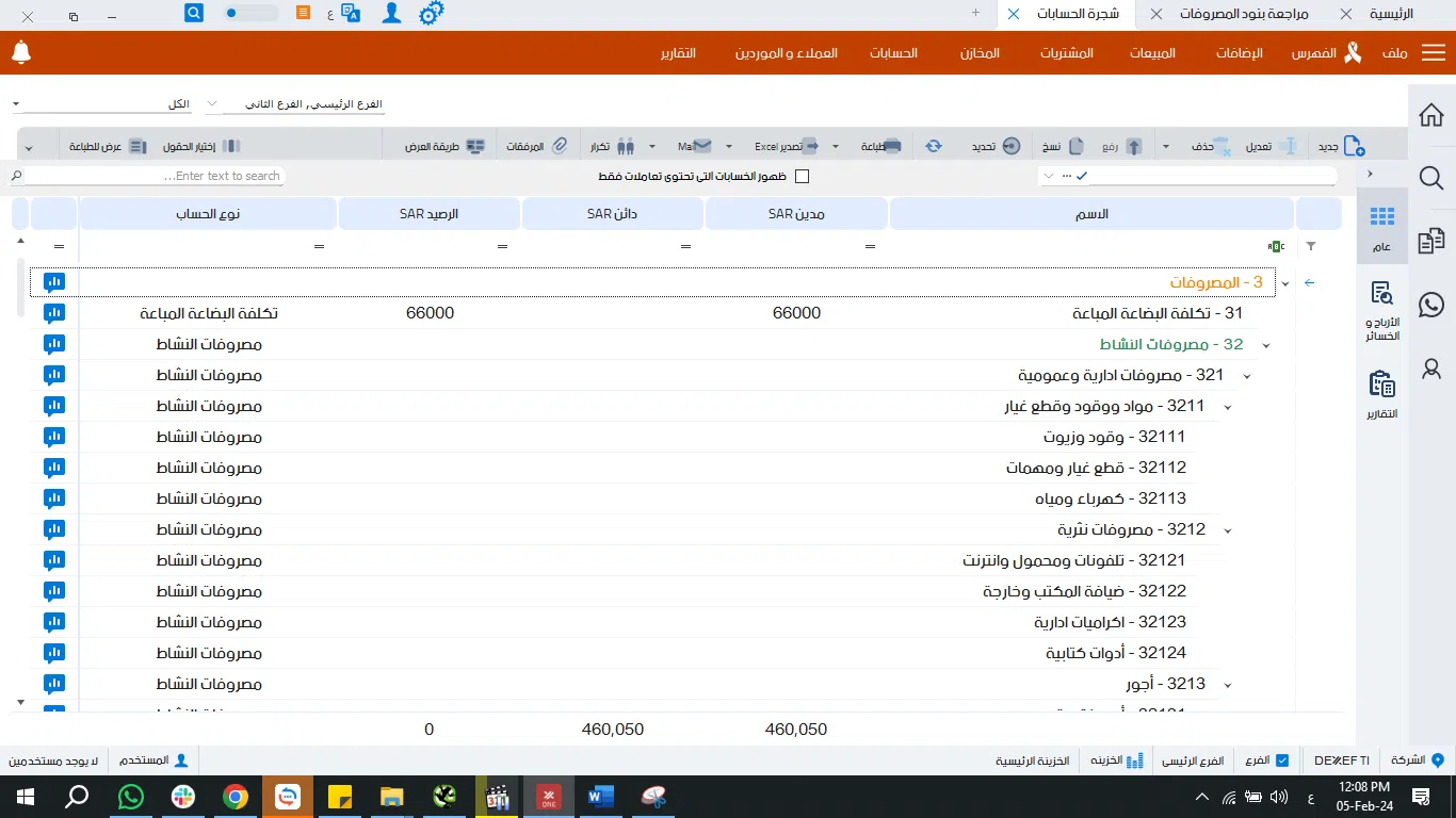 الإيرادات والمصروفات