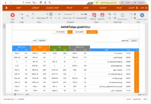 فواتير البيع وكشوف الحساب
