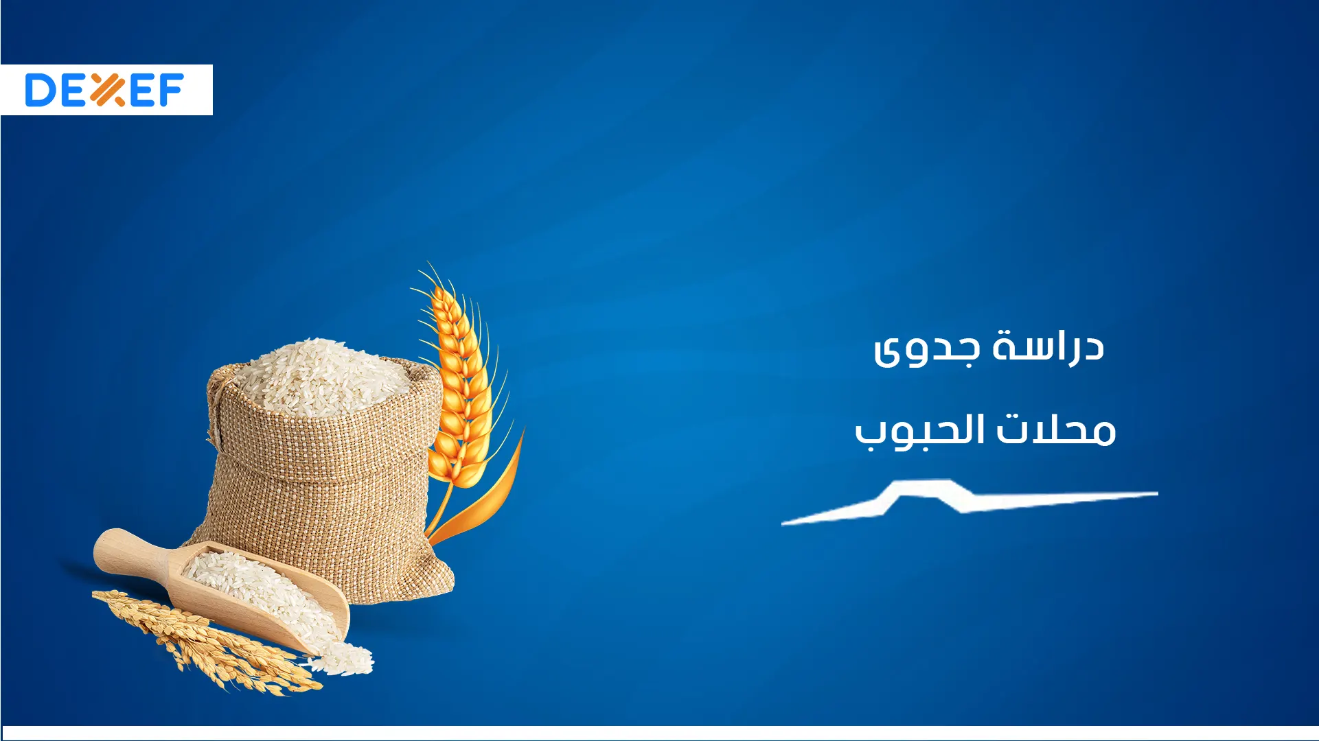 دارسة جدوي محلات الجبوب