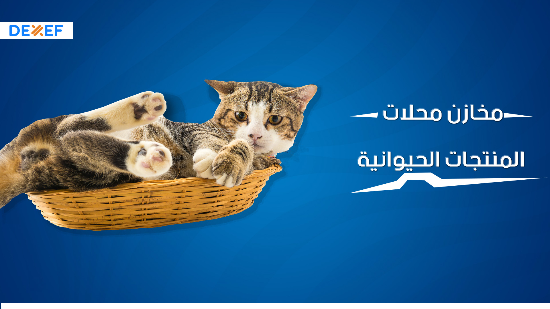 مخازن محلات المنتجات الحيوانية-01