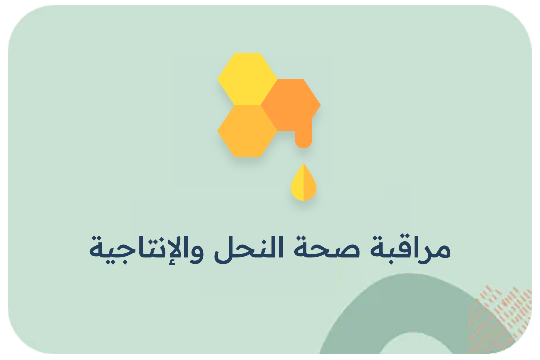 مراقبة صحة النحل والإنتاجية